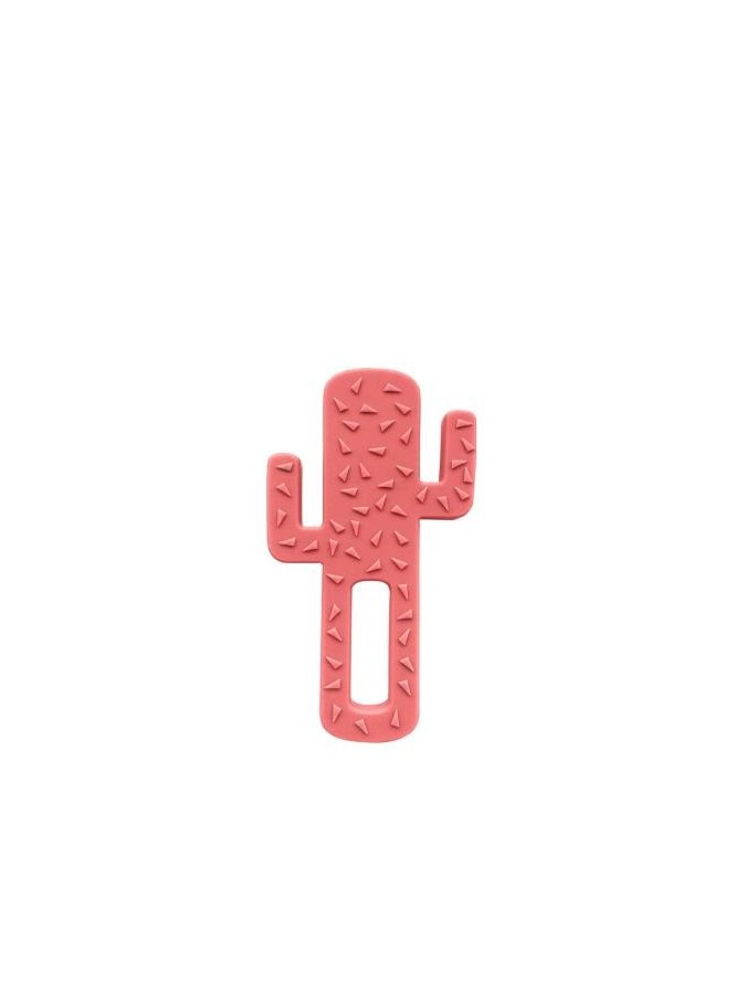 MINIKOIOI gryzak silikonowy Kaktus różany